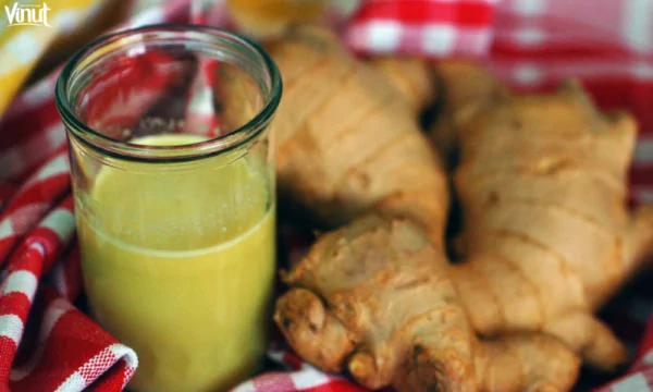 VINUT_How to Prepare Ginger Juice for Winter?