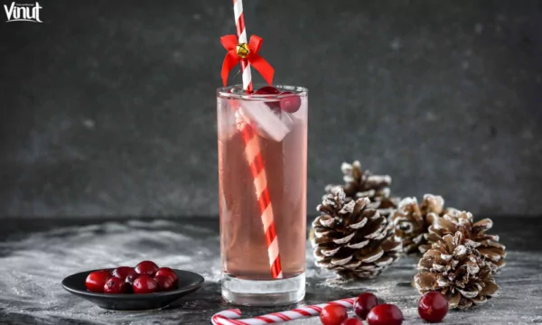 VINUT_What Are Non-Alcoholic Christmas Drinks? VINUT_What Are Non-Alcoholic Christmas Drinks?