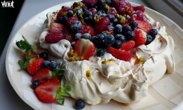 VINUT_Pavlova