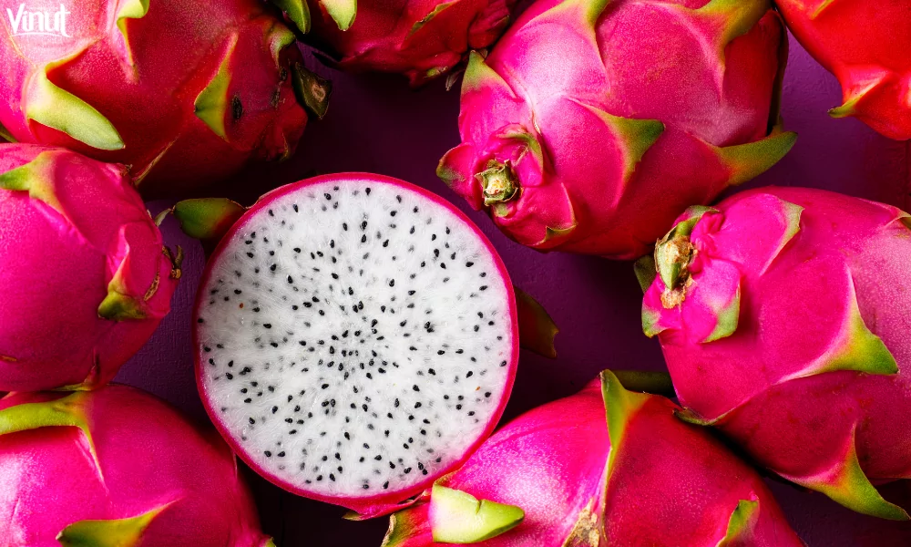 Dragon Fruit: A Journey into Its Origins, Varieties, and Health Benefits 2 VINUT_The Dragon Fruit’s Exotic Origins