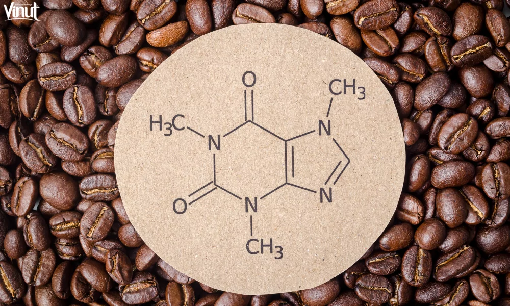 Caffeine: Exploring 5 Special Facts 9 VINUT_Caffeine Detox
