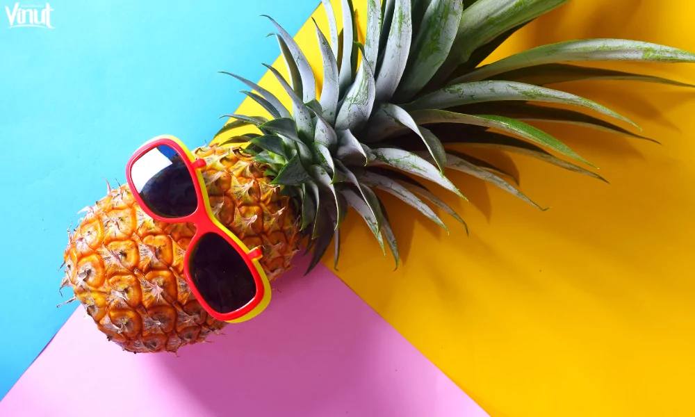 The Pineapple: Exploring the Origins, Nutrition Value and 4 Interesting Fun Facts 3 VINUT_The Journey to Europe