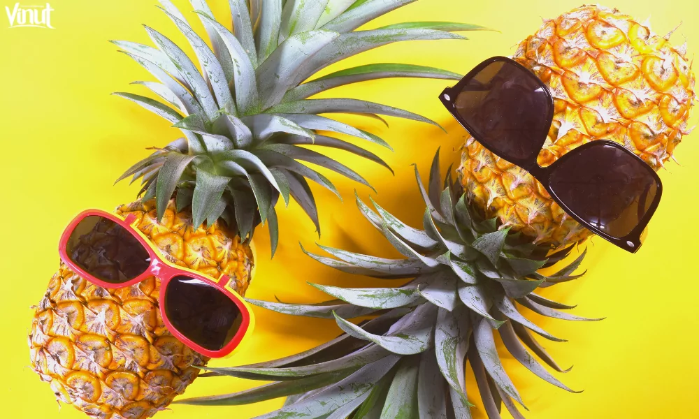The Pineapple: Exploring the Origins, Nutrition Value and 4 Interesting Fun Facts 9 VINUT_Fun Facts