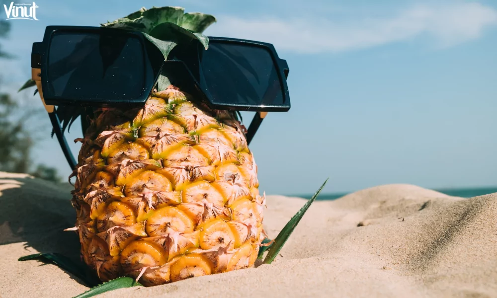 The Pineapple: Exploring the Origins, Nutrition Value and 4 Interesting Fun Facts 10 VINUT_Pineapple Around the World
