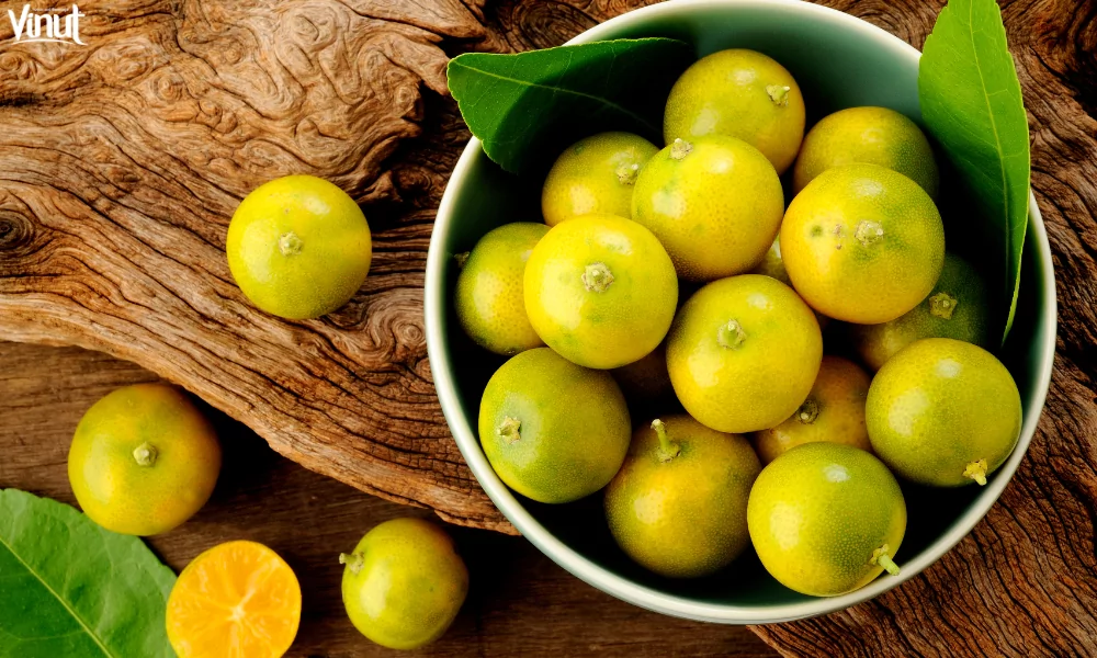 VINUT_Kumquats