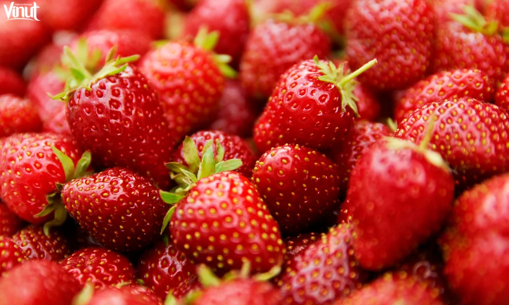 VINUT_Health Benefits