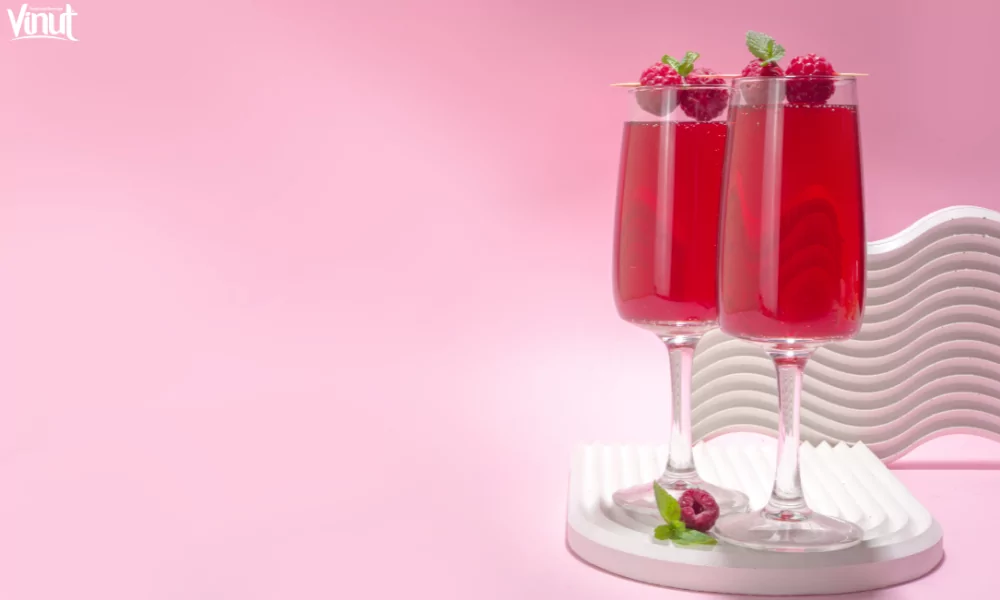 Top 8 Most Popular Juices Around The World 10 VINUT_Raspberry Juice