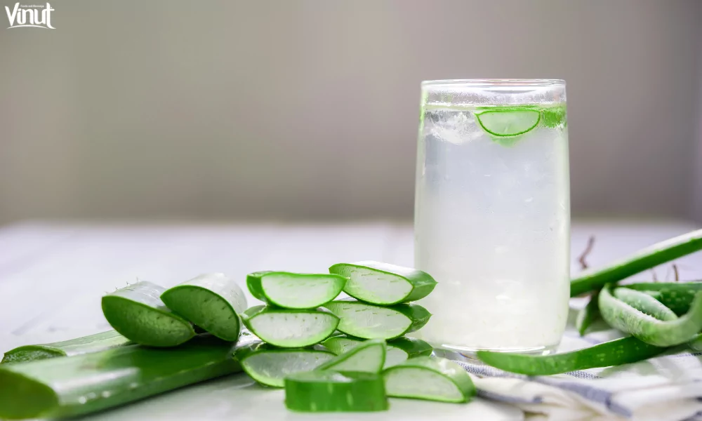 Aloe Vera Juice in Traditional Medicine 2 VINUT_Aloe Vera Juice