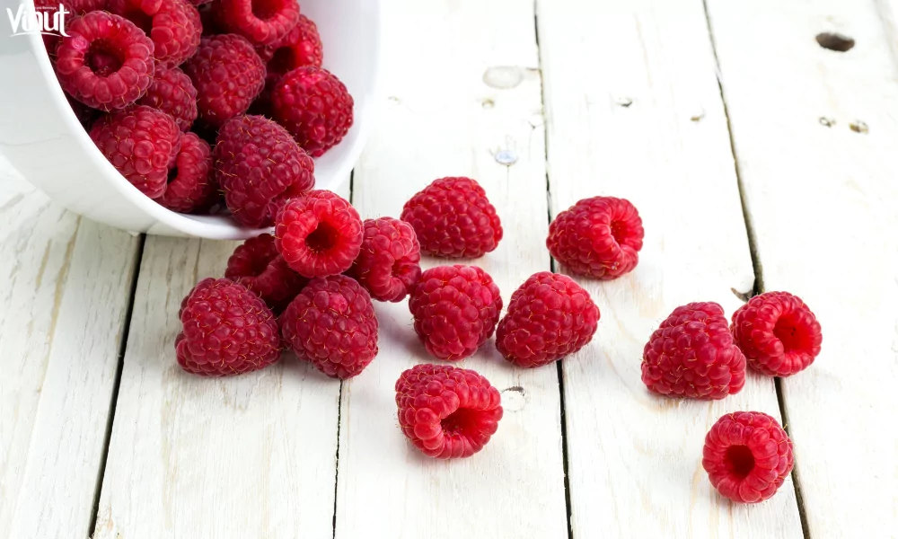 The Raspberry: A Versatile and Delicious Fruit 3 VINUT_Red Raspberries