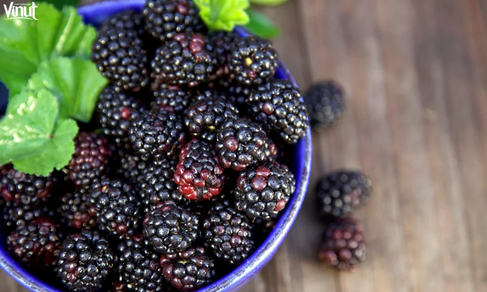 The Raspberry: A Versatile and Delicious Fruit 4 VINUT_Black Raspberries