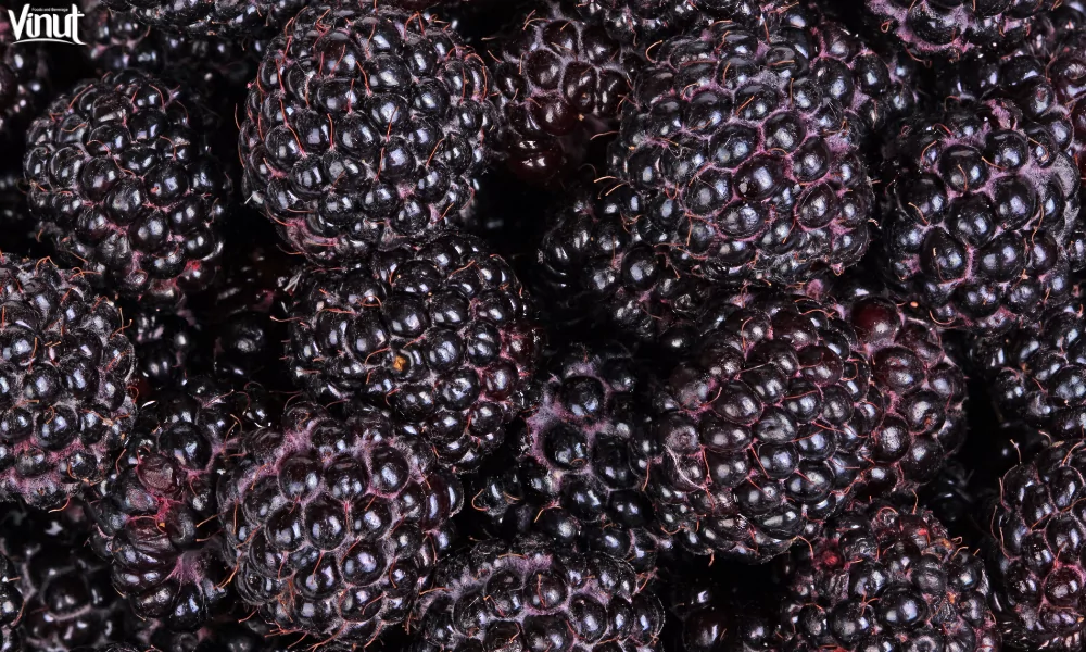 The Raspberry: A Versatile and Delicious Fruit 5 VINUT_Purple Raspberries