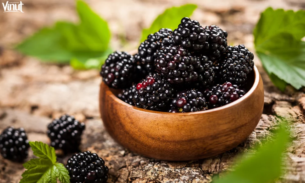 VINUT_A Brief Introduction to Blackberry Fruit