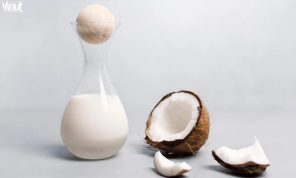 Strawberry Coconut Milk: Benefits, Recipes, and Nutrition 2 VINUT_ Coconut Milk
