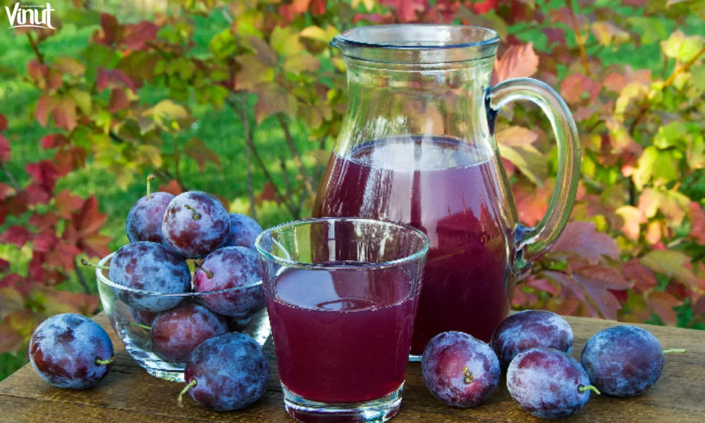 Prune Juice: Exploring 5 Health Benefits, Uses, and More 2 VINUT_The Origins of Prune Juice