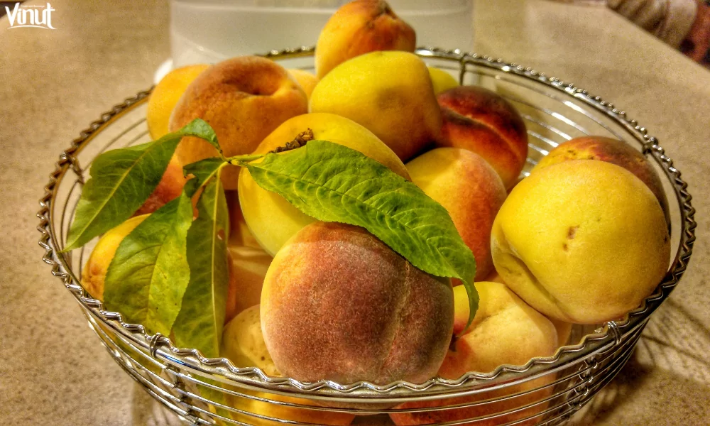 The Peaches: The Natural Sweetness with 4 Impressive Benefits 3 VINUT_Yellow Peaches