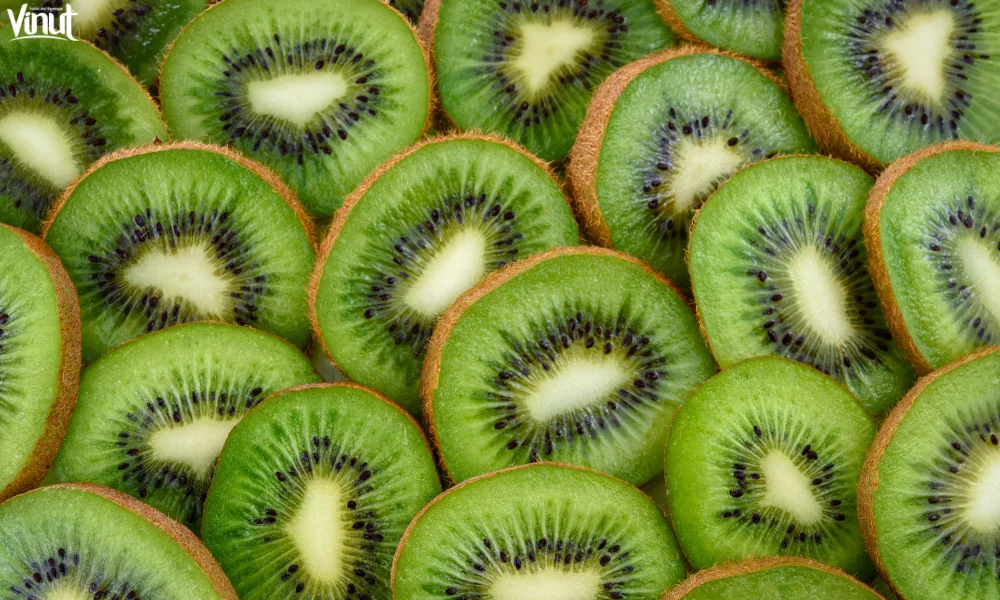 Top 5 Fruits to Enhance Immunity 3 VINUT_Fun Facts About Kiwi Fruit