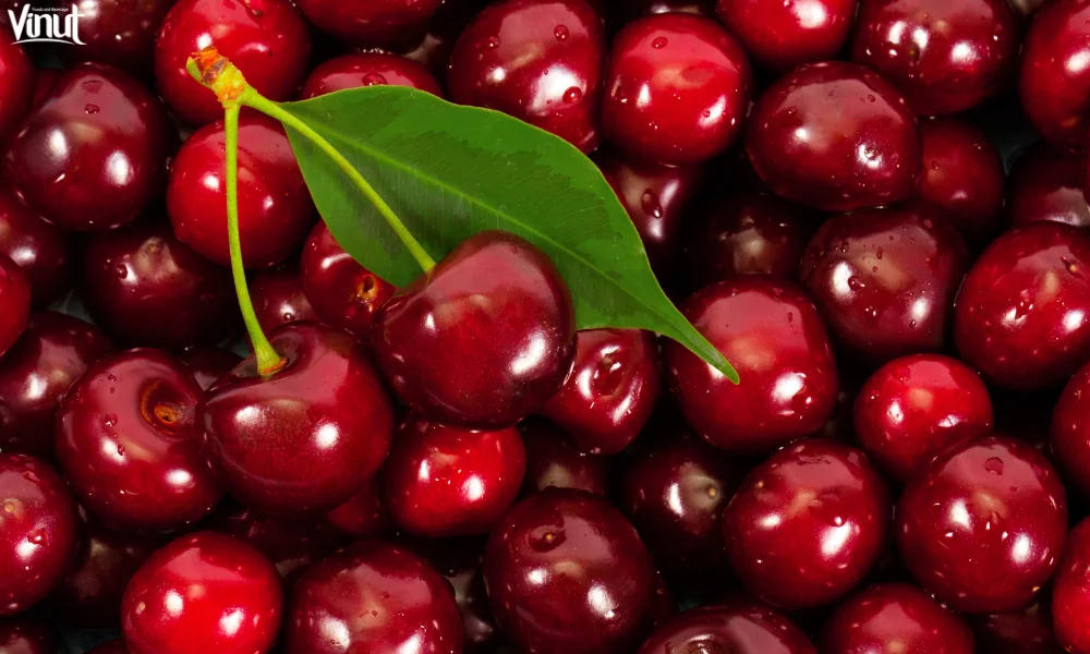 5 Great Benefits of Eating Cherries 2 VINUT_Sweet Cherries