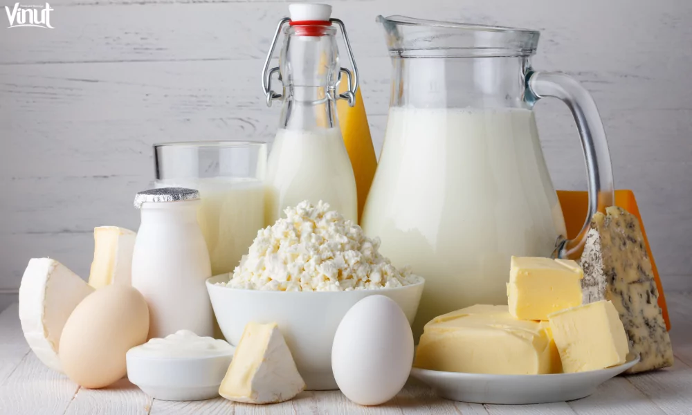Ramadan: What to Eat and What to Avoid 3 VINUT_Protein-rich Foods