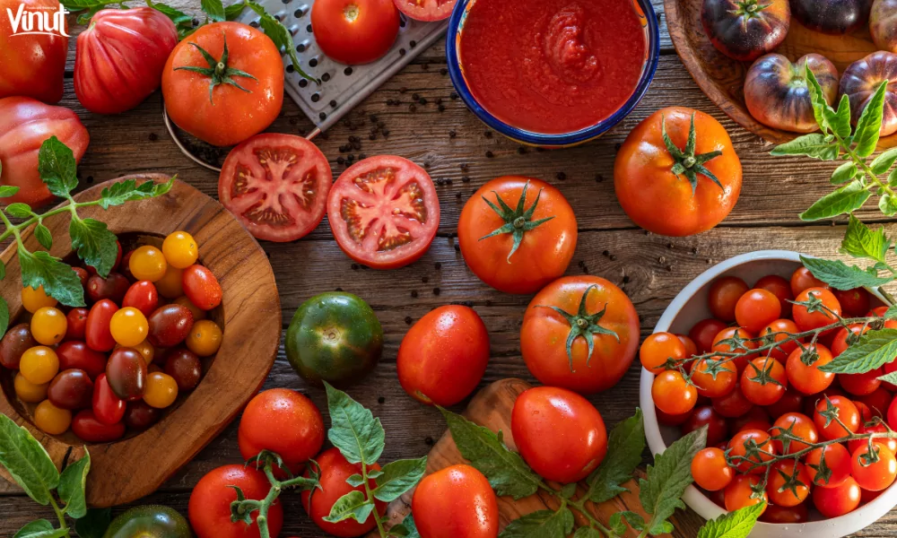 VINUT_A Brief History of the Tomato