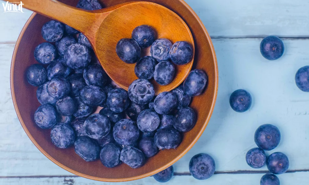 Blueberries: Brief History, Varieties, Nutritional Value, and 4 Fun Facts 8 VINUT_Nutritional Value
