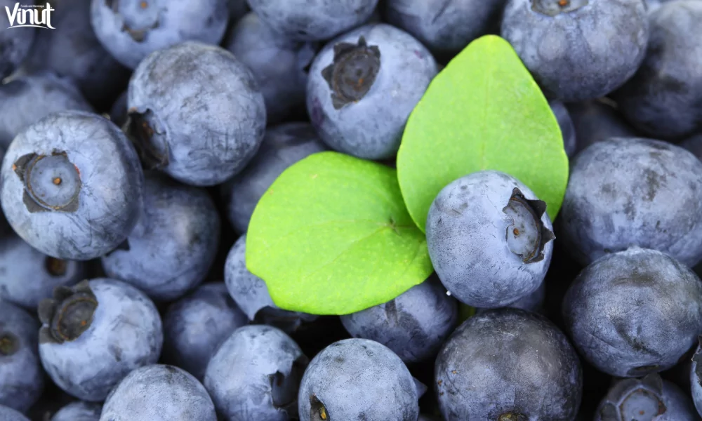 Blueberries: Brief History, Varieties, Nutritional Value, and 4 Fun Facts 10 VINUT_Incorporating Blueberries into Your Diet