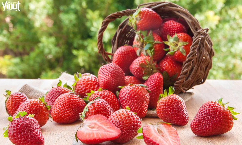 VINUT_Nutritional Powerhouse