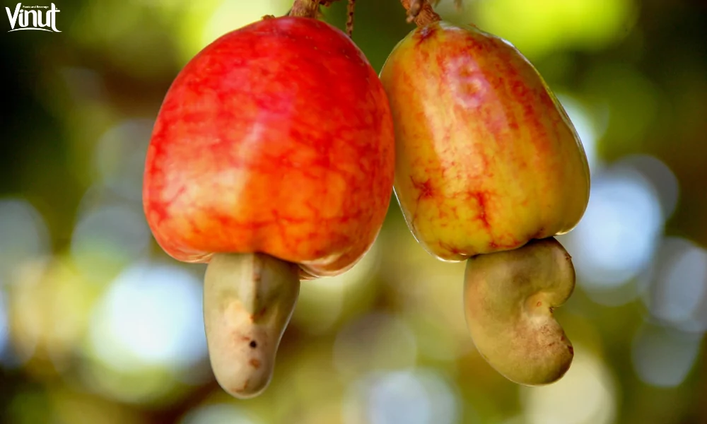 VINUT_Nutritional Value