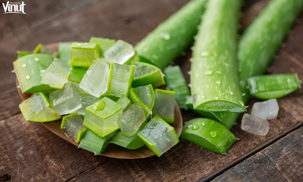VINUT_Benefits of Aloe Vera in Skincare