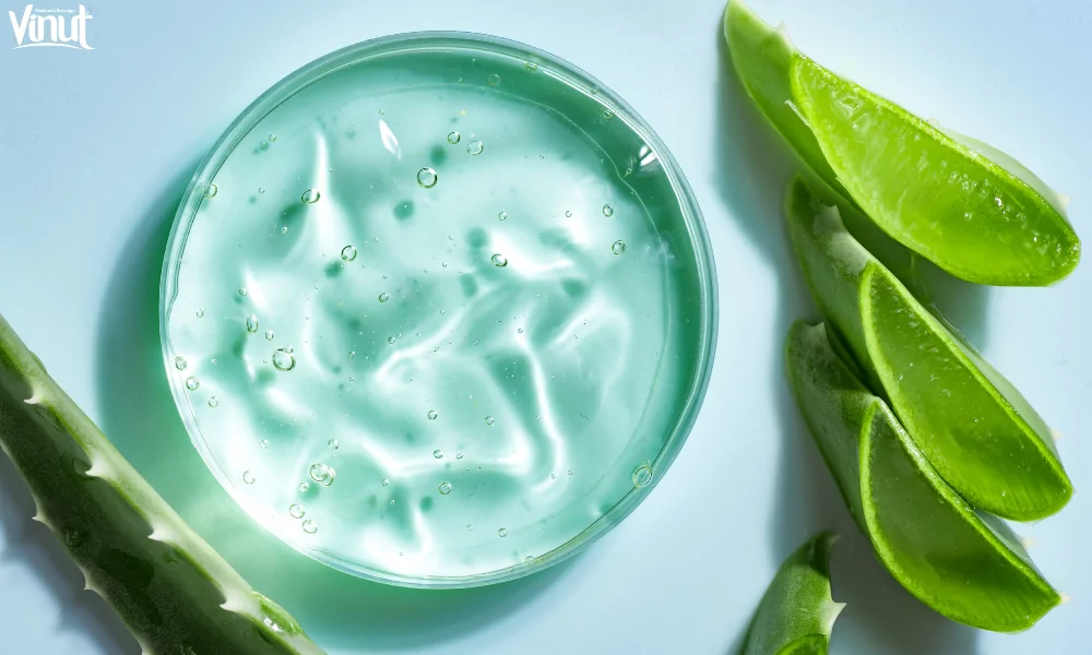 VINUT_Aloe Vera in Hair Care