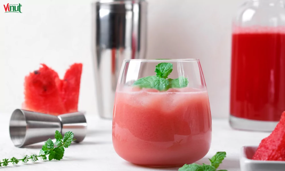 Coconut Milk Infused with Fruit Juices: The Ultimate Fusion 6 VINUT_Watermelon-Coconut Quencher