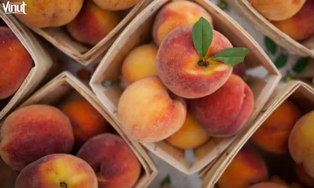 Peach: Delicious and Juicy Fruit for Hot Summer 2 VINUT_Exploring the Diverse Varieties and Their Unique Qualities
