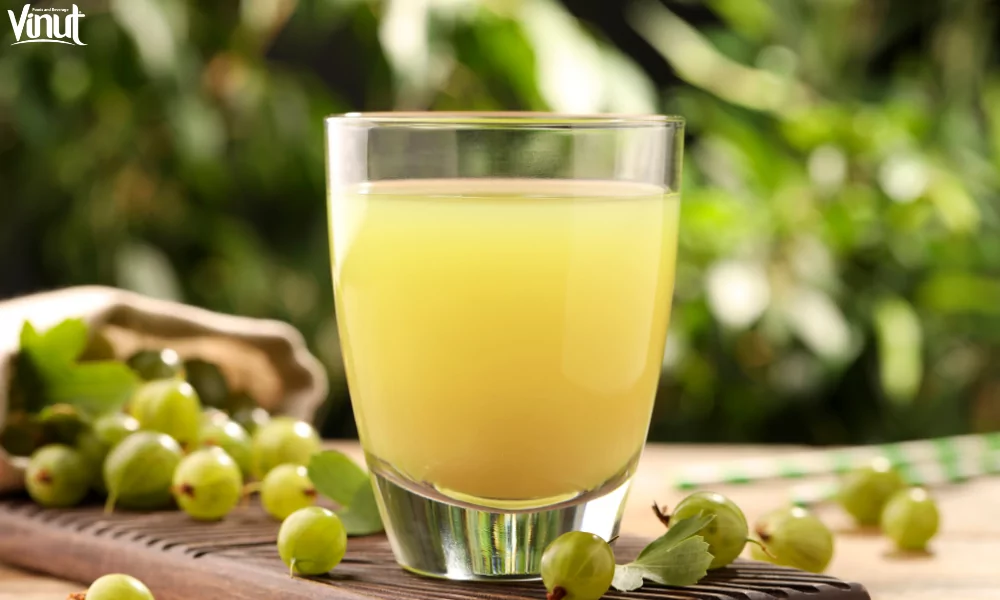 Make Amla Juice at Home - Boost Your Health Naturally 2 VINUT_Amla Juice: A Nutritional Powerhouse