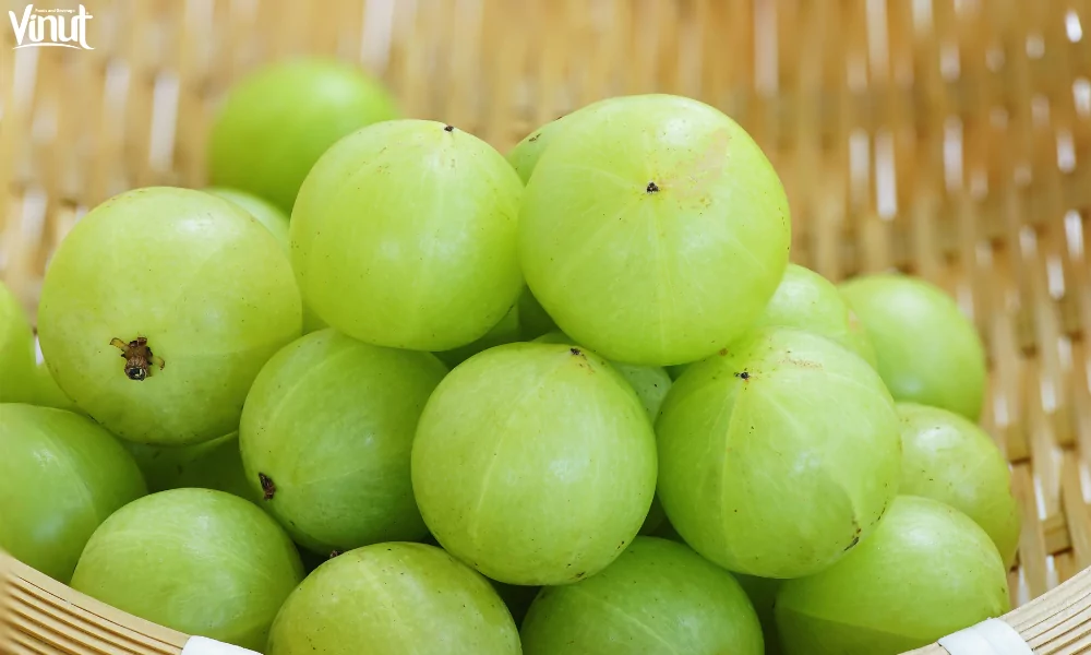 VINUT_The Science Behind Amla Juice’s Health Claims