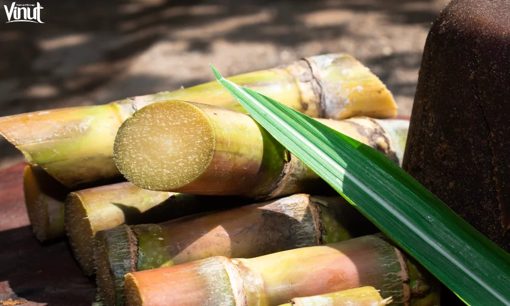 VINUT_Different Types of Sugars Produced from Sugarcane