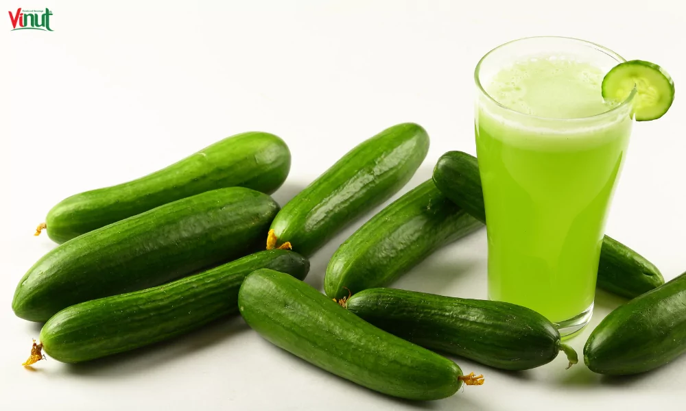 Top 8 Health Benefits of Cucumber Juice 4 VINUT_Unveiling the Digestive Power of Cucumber Juice: Easing Bloating and Supporting Digestion