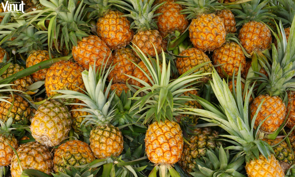 VINUT_Pineapples