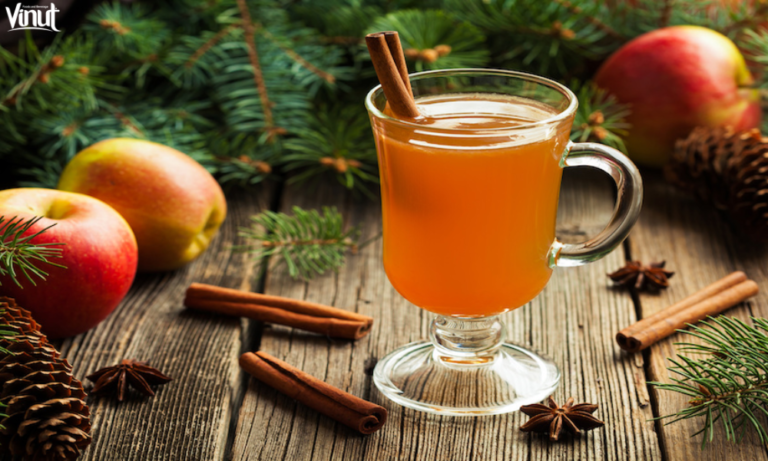 VINUT_Spiced Apple Cider Punch