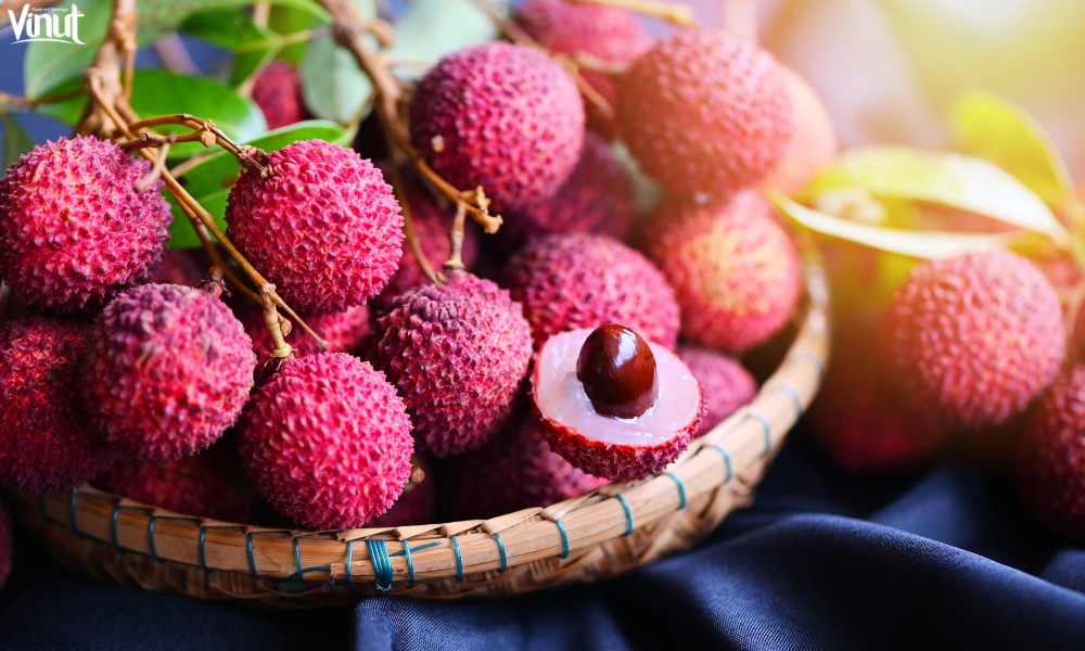 VINUT_Unveiling the Origins of the Lychee