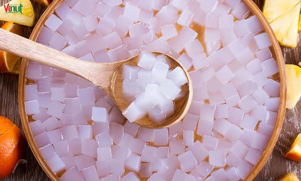 Delicious Nata de Coco Recipes 2 VINUT_What is Nata de Coco?