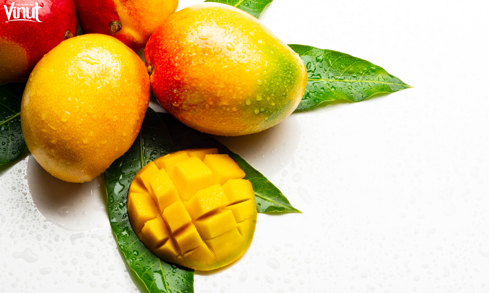 Mangoes: A Fruit for the Future 3 VINUT_Different Types of Mangoes