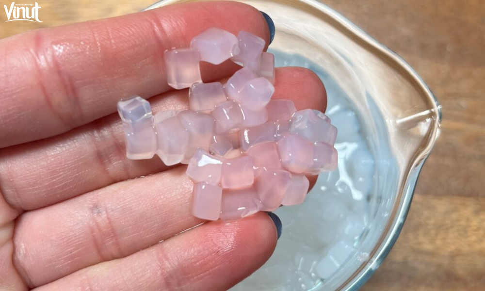 Delicious Nata de Coco Recipes 4 website 3