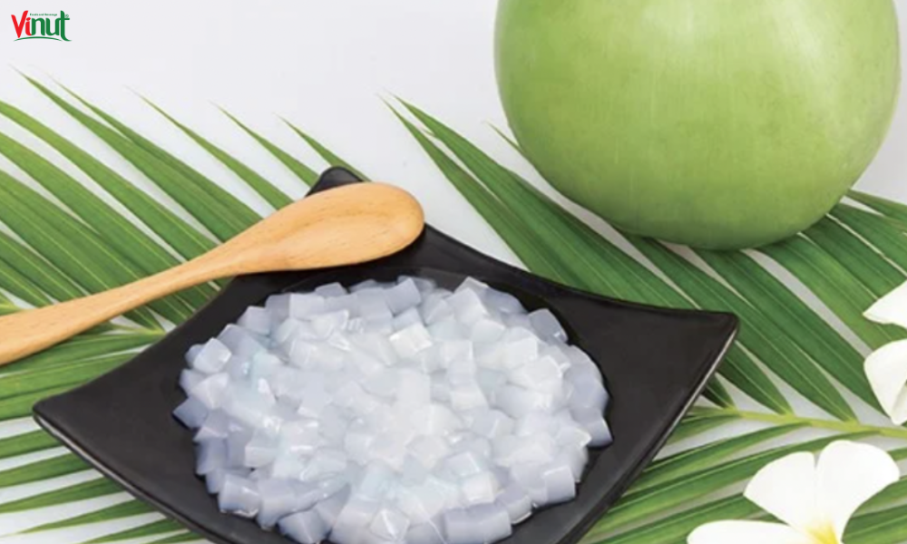 Delicious Nata de Coco Recipes 3 VINUT_How is Nata de Coco Made?
