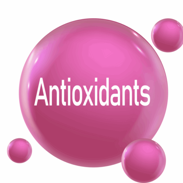 VINUT_Rich in Antioxidants