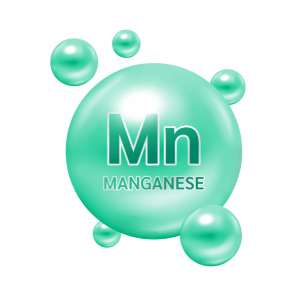 VINUT_Manganese for Sustained Energy