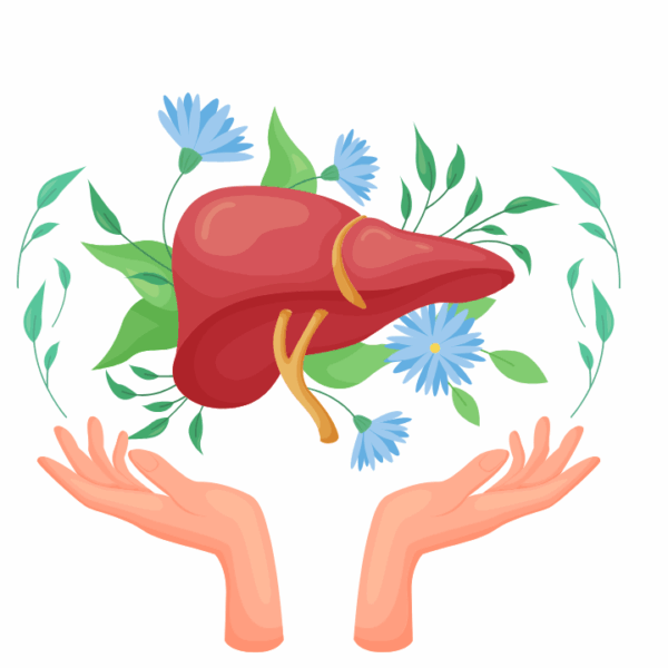 VINUT_Detoxification and Liver Health