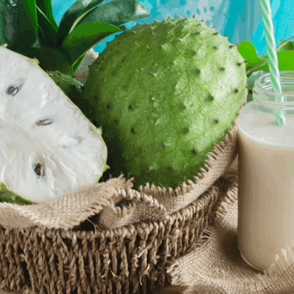 VINUT_Soursop Juice for Detox: A Natural Cleanse for Your Body​