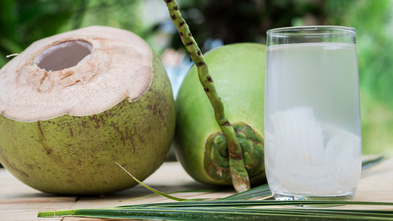 VINUT_Understanding Hydration and Electrolyte Balance​