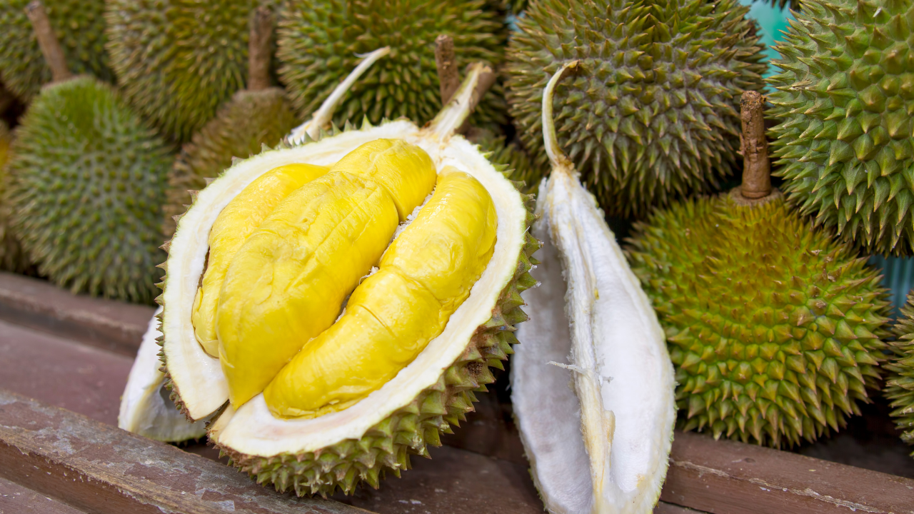 VINUT_Health Benefits of Durian