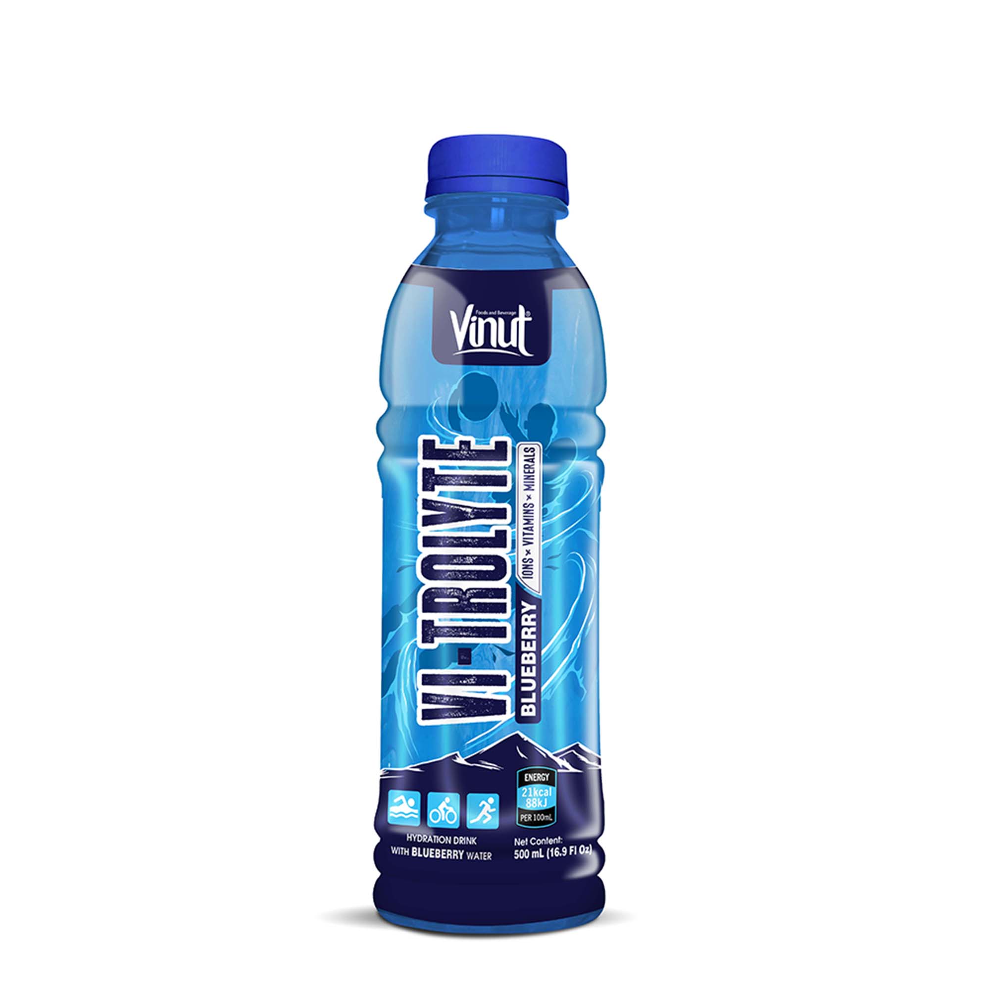 16.9 fl oz Vinut Hydration with Blueberry drink (icons, Vitamins, minerals)