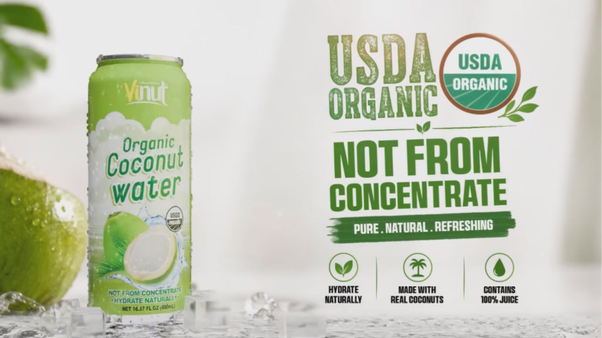 Coconut Water Ingredients